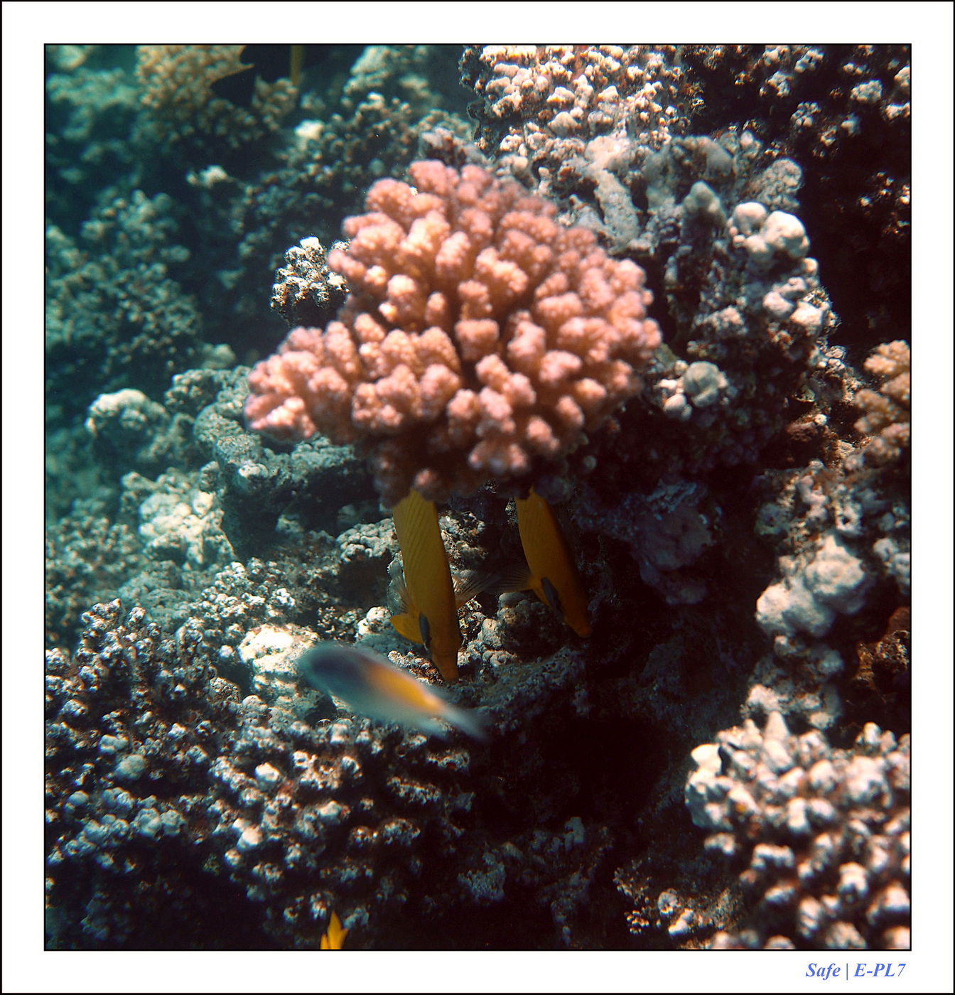 Hurghada - Juillet 2021 - 100